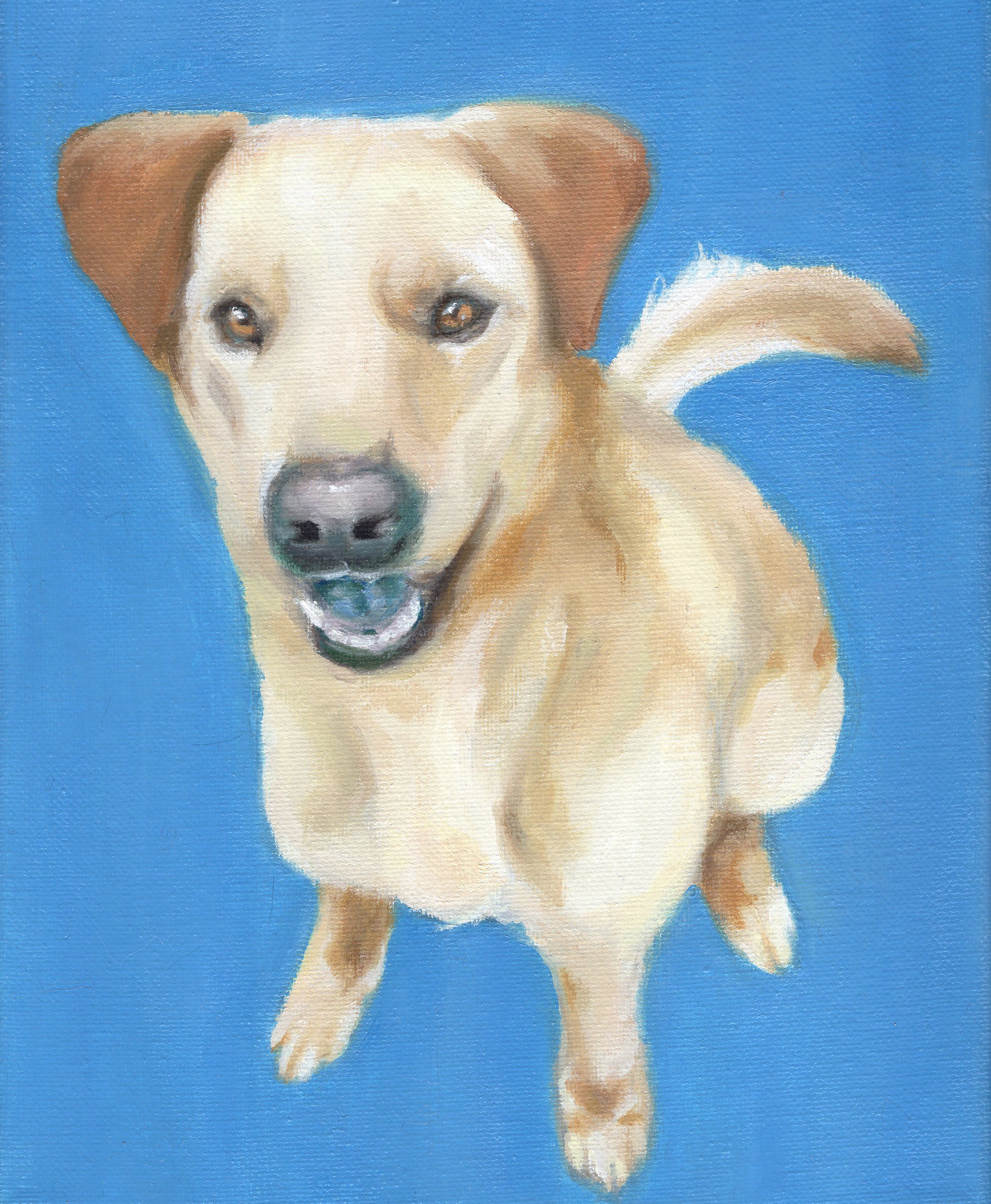 Buddy, oil